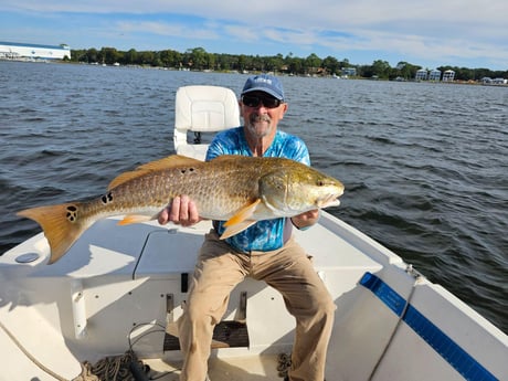 Redfish Fishing in Santa Rosa Beach, Florida