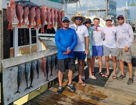 False Albacore, Kingfish, Red Snapper Fishing in Destin, Florida