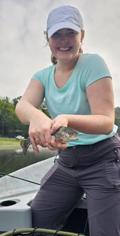 Rainbow Trout Fishing in Broken Bow, Oklahoma