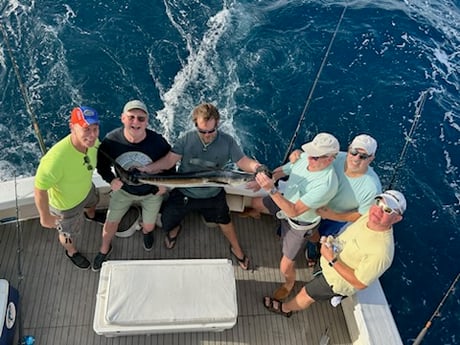 Sailfish Fishing in Pompano Beach, Florida