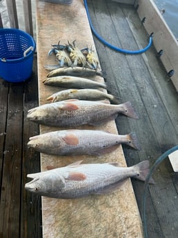 Fishing in Rockport, Texas