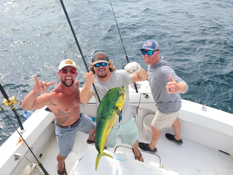 Mahi Mahi / Dorado fishing in Orange Beach, Alabama