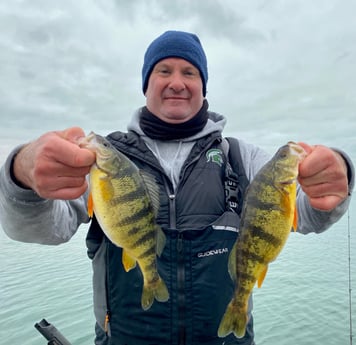 Perch Fishing in Manistee, Michigan