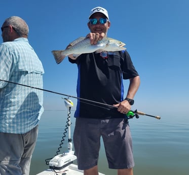 Speckled Trout / Spotted Seatrout fishing in Galveston, Texas