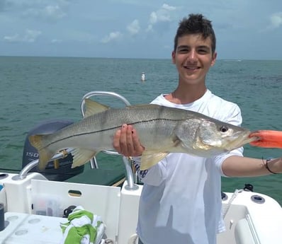 Snook fishing in Clearwater, Florida