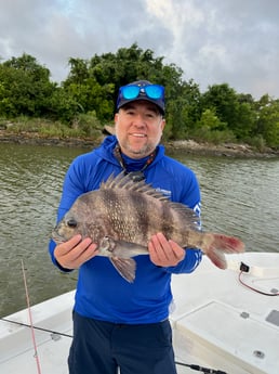 Sheepshead Fishing in Galveston, Texas