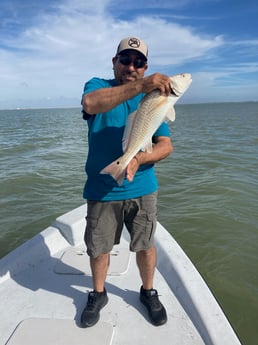 Speckled Trout / Spotted Seatrout fishing in Galveston, Texas