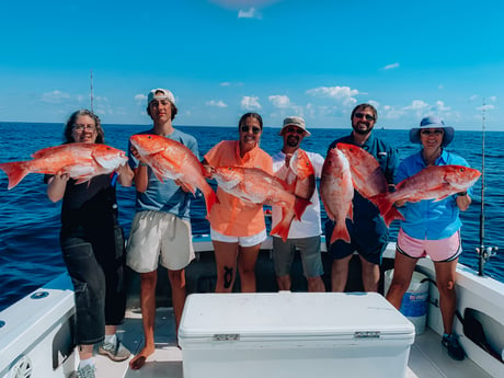 Red Snapper fishing in Biloxi, Mississippi