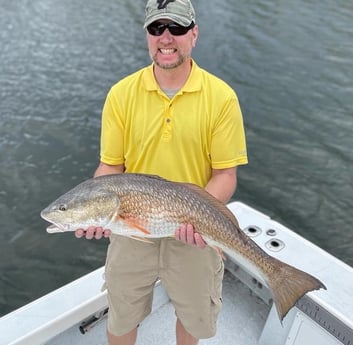 Snook fishing in Tampa, Florida