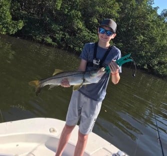 Snook Fishing in St. Petersburg, Florida