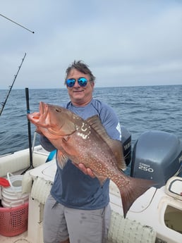 Red Grouper fishing in Clearwater, Florida