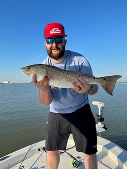 Redfish Fishing in Galveston, Texas