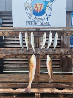 Fishing in Corpus Christi, Texas