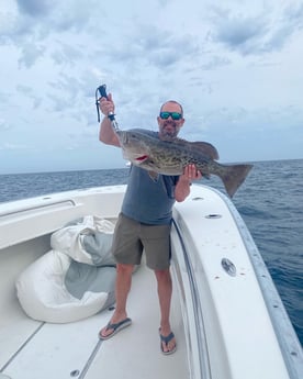 Gag Grouper fishing in Santa Rosa Beach, Florida