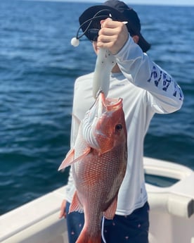 Red Snapper fishing in Pensacola, Florida