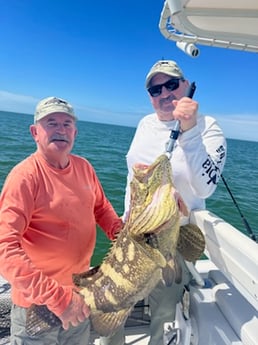 Black Marlin fishing in Tavernier, Florida