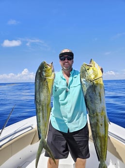 Mahi Mahi Fishing in Fort Lauderdale, Florida