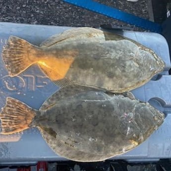 Flounder fishing in Galveston, Texas