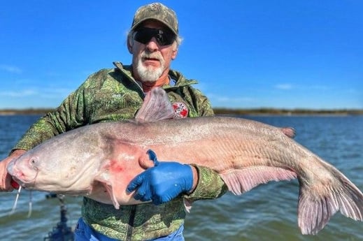 Blue Catfish Fishing in Dallas, Texas