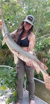 Alligator Gar Fishing in Livingston, Texas