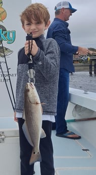 Redfish fishing in St. Petersburg, Florida