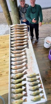 Redfish, Smallmouth Bass fishing in Saint Bernard, Louisiana