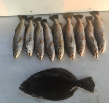 Flounder, Speckled Trout Fishing in Corpus Christi, Texas