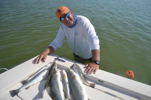 Speckled Trout / Spotted Seatrout fishing in Corpus Christi, Texas