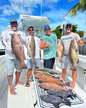 Cubera Snapper, Gag Grouper, Mangrove Snapper, Triggerfish Fishing in Islamorada, Florida