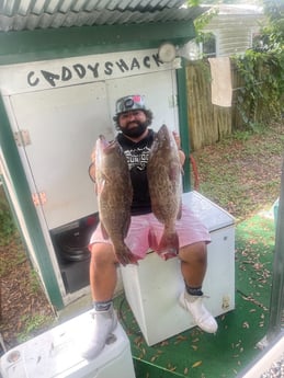 Gag Grouper fishing in Holmes Beach, Florida