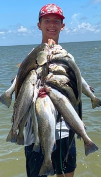 Redfish, Speckled Trout / Spotted Seatrout fishing in Port O&#039;Connor, Texas