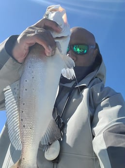 Speckled Trout / Spotted Seatrout fishing in Galveston, Texas