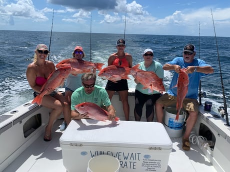 Red Snapper fishing in Biloxi, Massachusetts