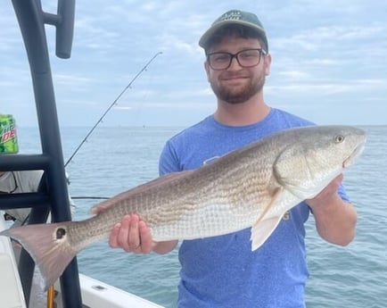 Redfish fishing in New Smyrna Beach, Florida