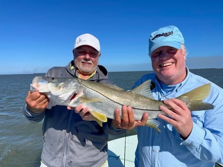 Snook Fishing in Islamorada, Florida