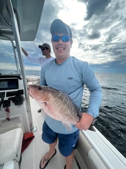 Mangrove Snapper fishing in Pensacola, Florida