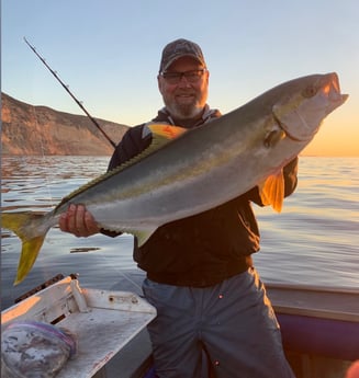 Yellowtail Amberjack Fishing in Oxnard, California