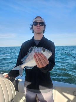 Fishing in Belleair Bluffs, Florida