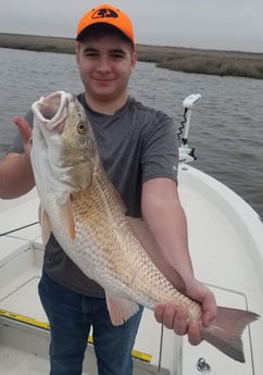 Redfish fishing in Sulphur, Louisiana