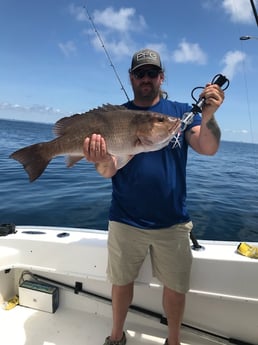 Mangrove Snapper fishing in Santa Rosa Beach, Florida