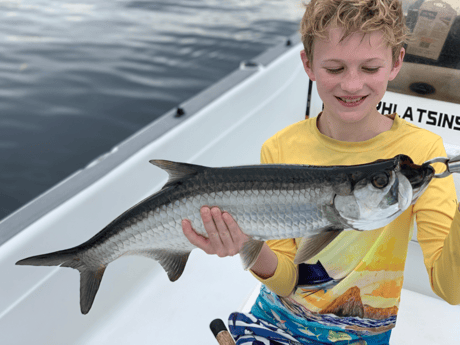 Tarpon Fishing in Jupiter, Florida