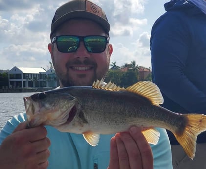 Largemouth Bass fishing in Delray Beach, Florida