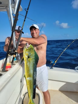 Mahi Mahi / Dorado fishing in Pompano Beach, Florida