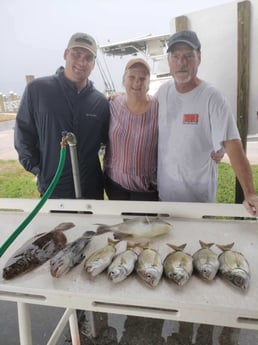 Flounder, Speckled Trout, Triggerfish Fishing in Jacksonville, Florida