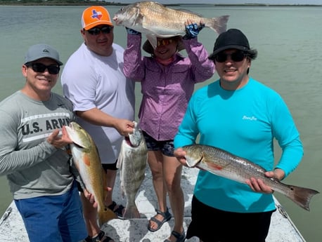 Black Drum, Redfish fishing in Port Isabel, Texas