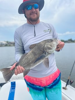 Black Drum fishing in Palm Coast, Florida