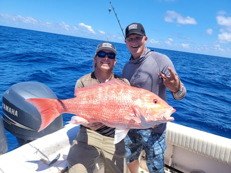 Goliath Grouper fishing in Clearwater, Florida