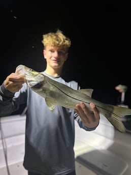 Snook Fishing in Port Orange, Florida