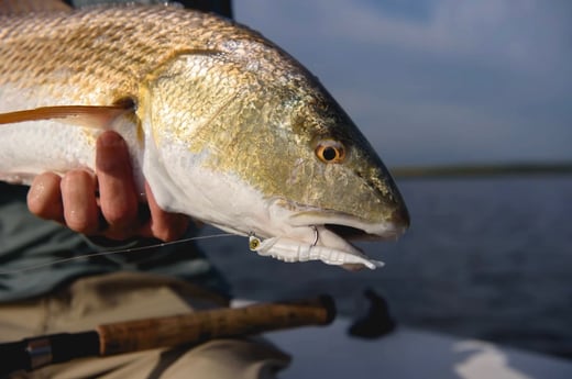 Redfish fishing in Wrightsville Beach, North Carolina