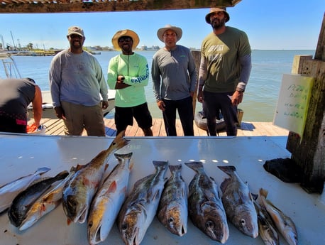 Black Drum, Flounder, Redfish, Speckled Trout / Spotted Seatrout fishing in Galveston, Texas